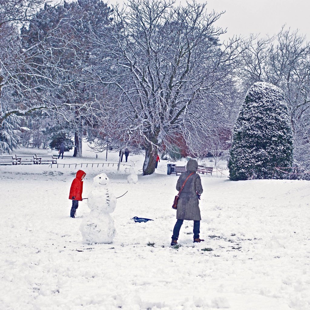 Playing in the snow Botanic Gardens