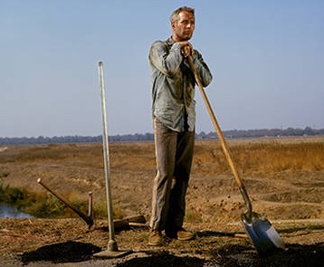cool hand luke