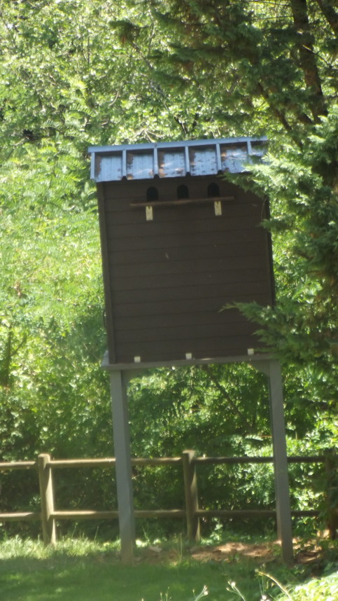 third para pigeon house