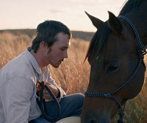 the rider