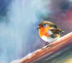 fat robin