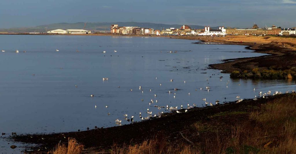 A View of Ayr from Alloway