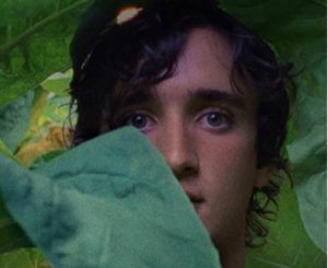 happy as lazzaro