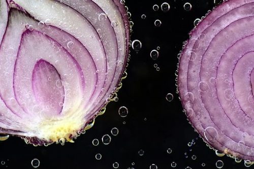 onions leela