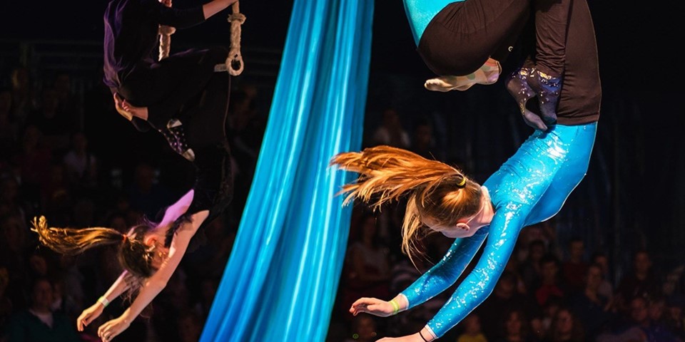 aerial edge circus