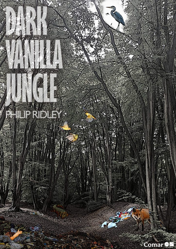 dark vanilla judge