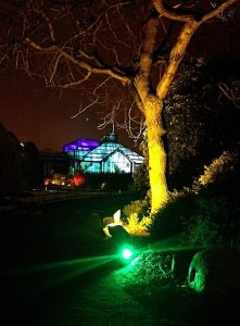electric gardens 2015