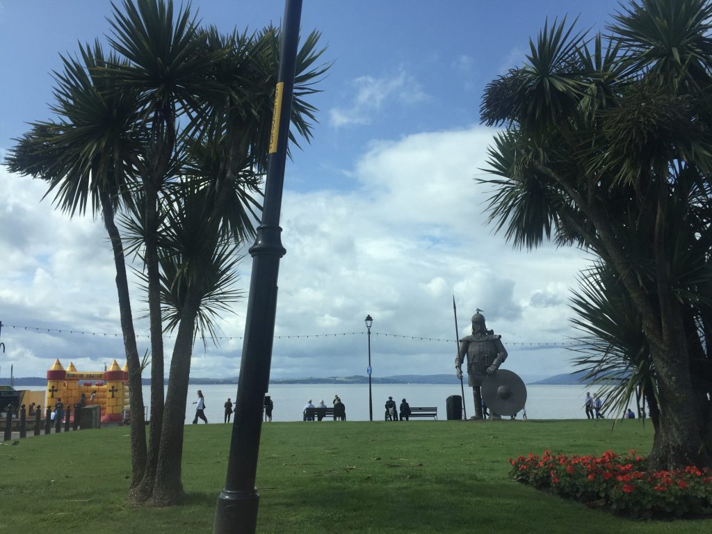 viking palms