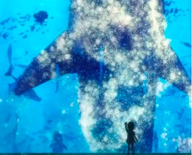 children of the sea