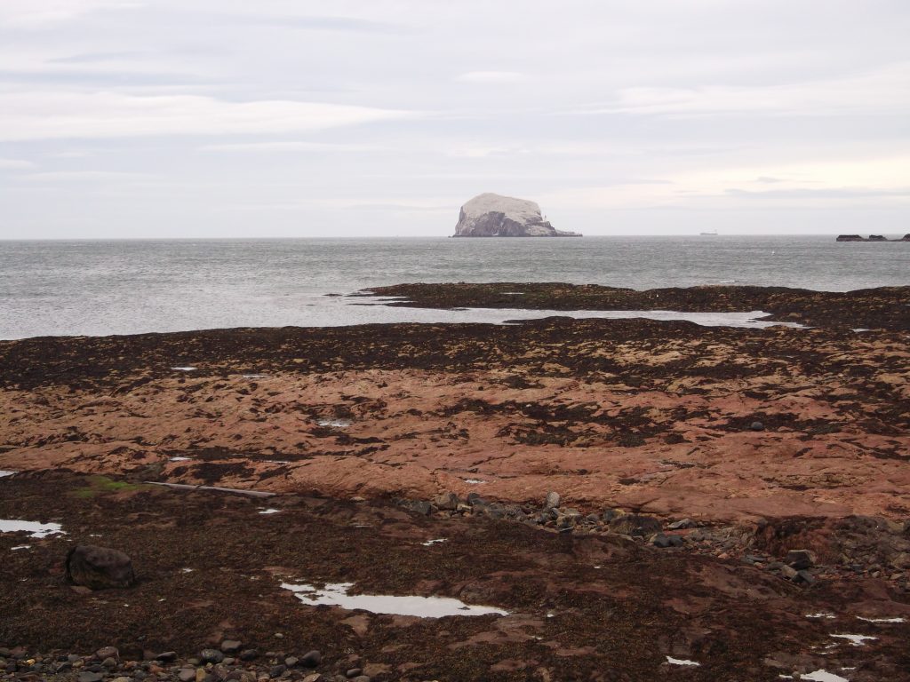 bass rock