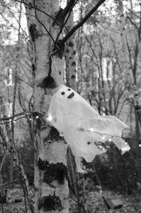 the childrens wood halloween 2