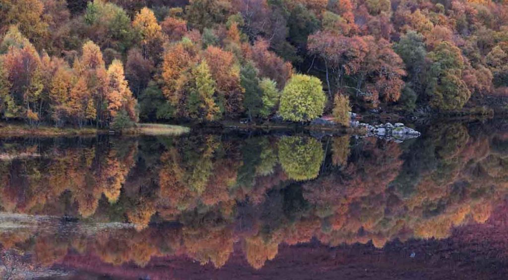 Loch Ruthven Reflections. Inverness. Highlands