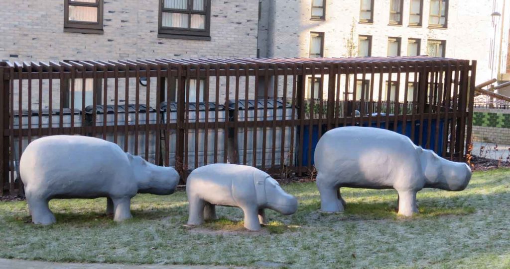 Hippo Family. Anderston. Glasgow