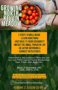 five ways to well being