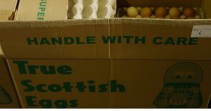 scottish eggs