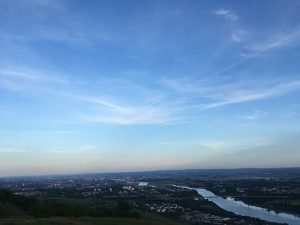 view from the humphrye gary mullen