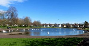 The Park Pond. Glasgow