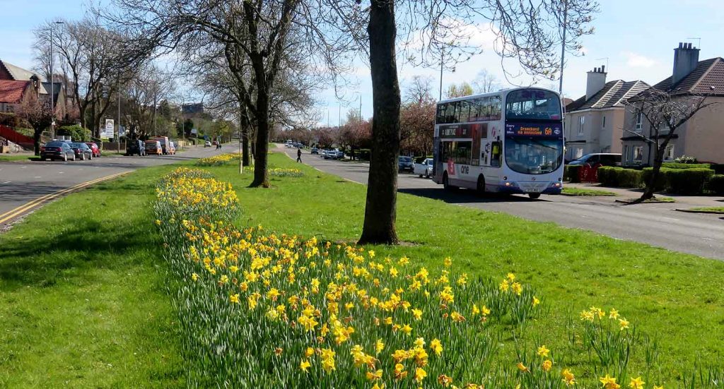 great western road bus daffodills