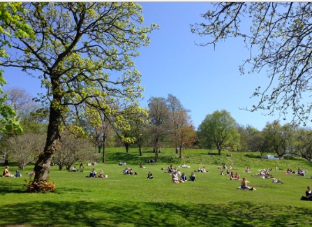 kelvingove park