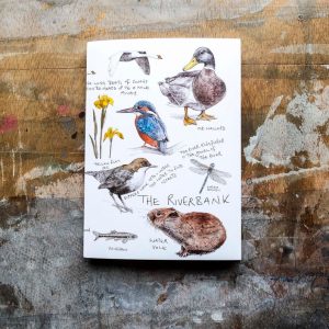 river bank notebook