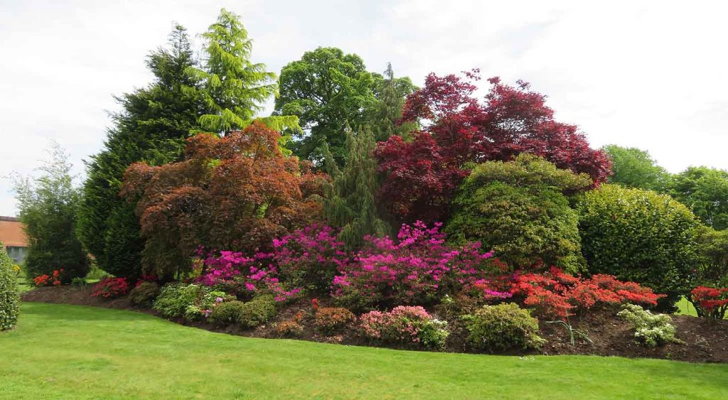 Levengrove Park. Summer Display