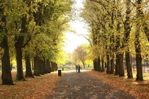 victoria park