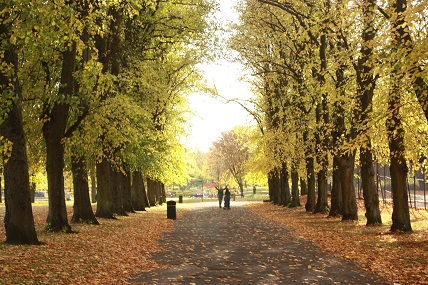 victoria park