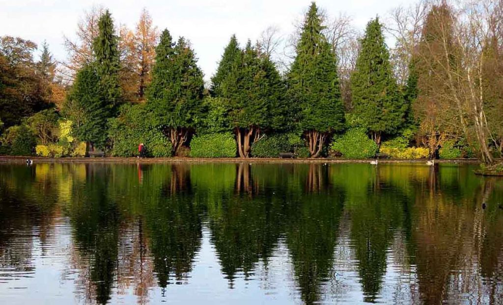 Evergreen.Rouken Glen in November