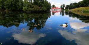 The Big Duck. Rouken Glen.Glasgow