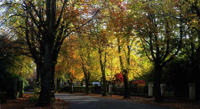 Autumn In Leafy Jordanhill. Glasgow