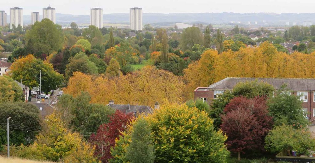 Colour Tapestry on a Misty Autumn Morning. Knightswood.