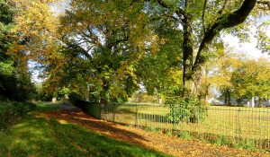 Green Railings. Househill Park. Pollok