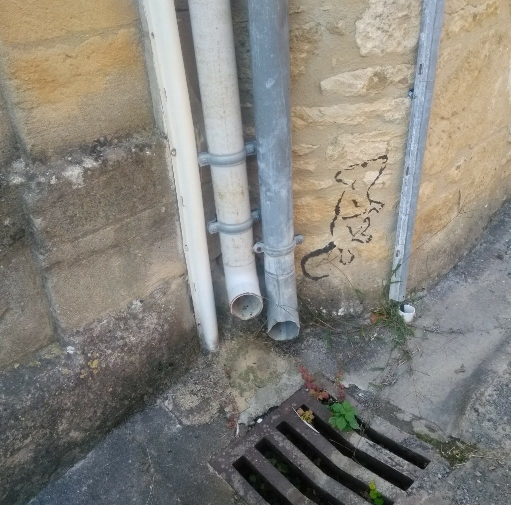 drain third para