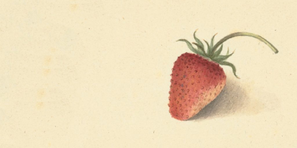 seven new strawberries