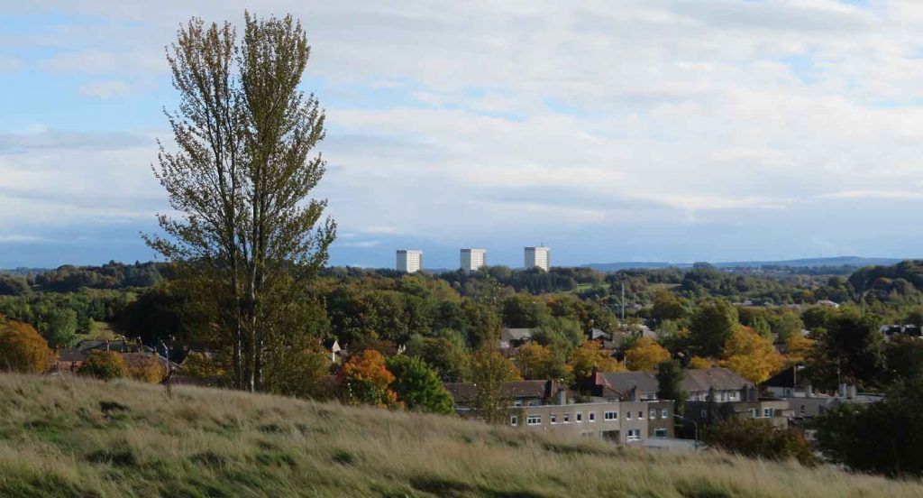 Deepest Pollok. Into The Wild Wood