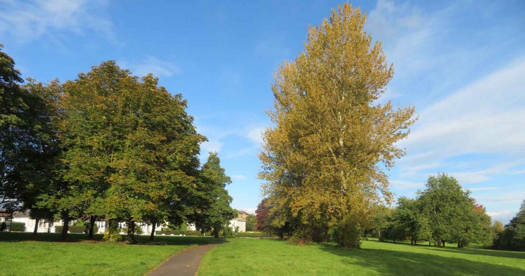 Househill Park at Crookston