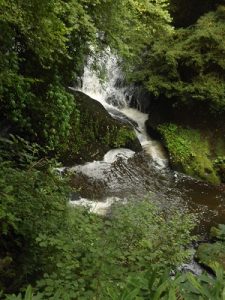 rouken glen waterfall
