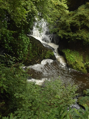 rouken glen waterfall