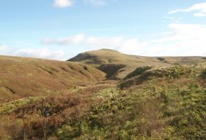 Doughnut Hill