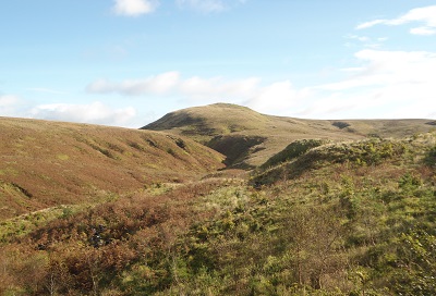Doughnut Hill