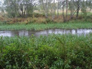 Monklands Canal