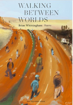 walking between worlds