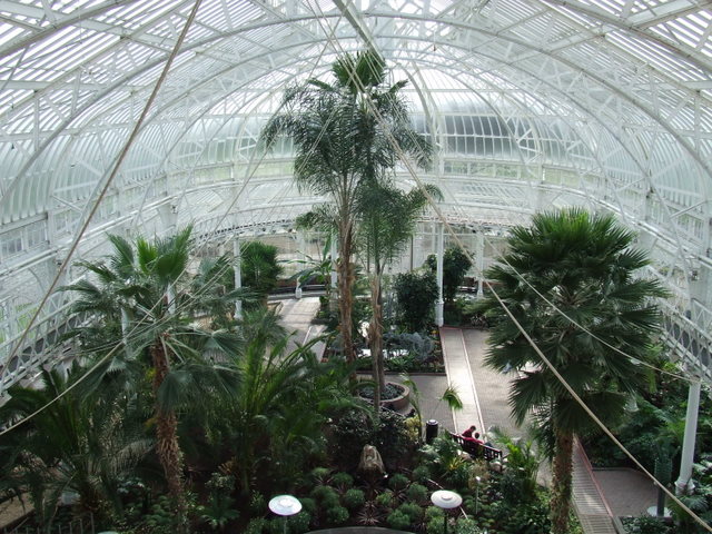 Peoples_Palace_Winter_Garden_-_geograph.org.uk_-_766659