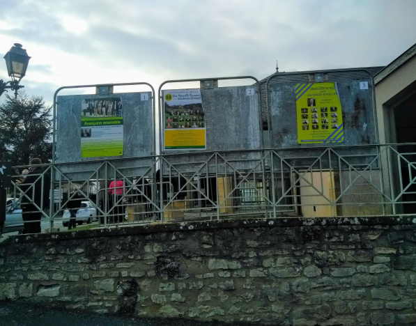 local elections