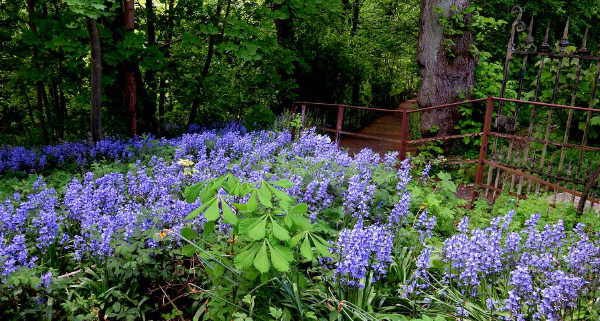A Quiet Back Entrance to Botanic Gardens