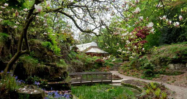 The Fossil Grove. Springtime. Victoria Park.