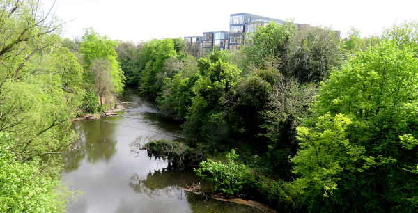 The Wild River Kelvin At Botanic Gardens.