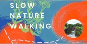 slow nature walking woodlands