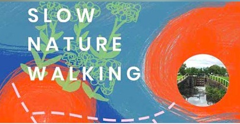 slow nature walking woodlands