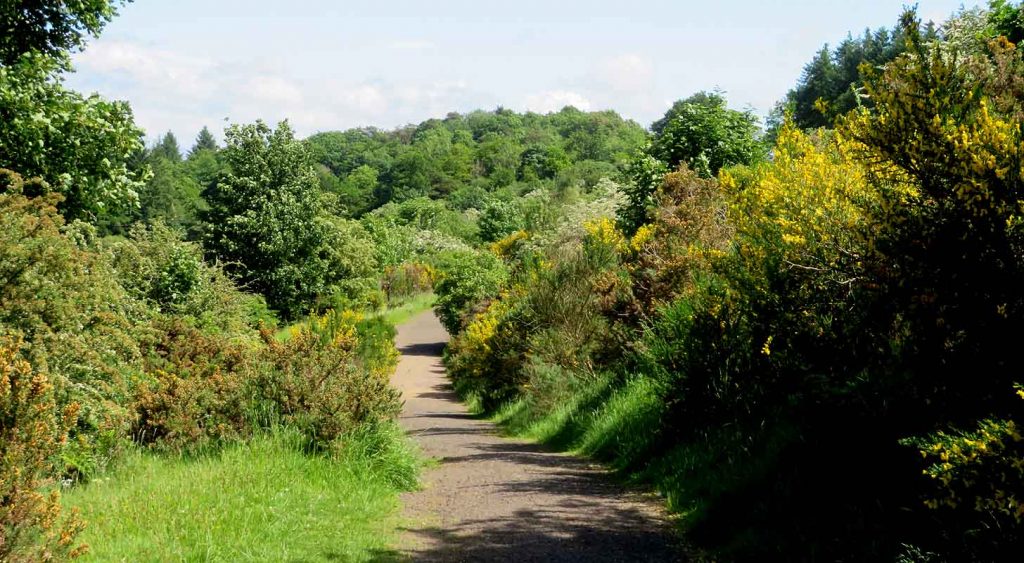 Tannahill Way. Gleniffer Braes